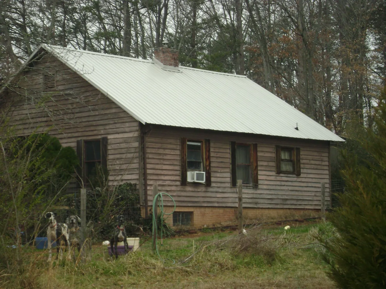 White metal roof on an old wood sided farmhouse, from a Metal Roof Installation job in Alpine